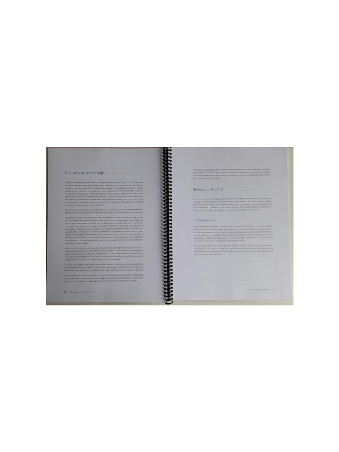 BASES CURRICULARES EDUCACION PARVULARIA 2