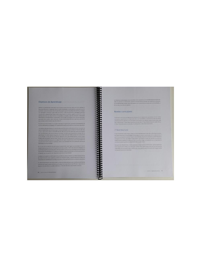 BASES CURRICULARES EDUCACION PARVULARIA 2