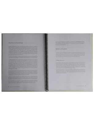 BASES CURRICULARES EDUCACION PARVULARIA