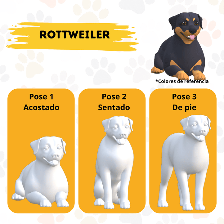 Kit Escultura de mascota - Píntalo tú mismo 6
