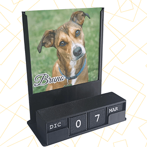 Calendario de cubos - Portaretrato