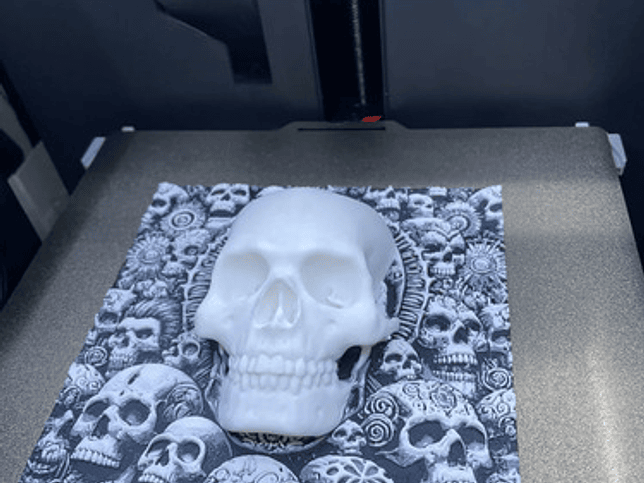 Cuadro 3d Calavera Impactante 190x190 Cm Genérica 3