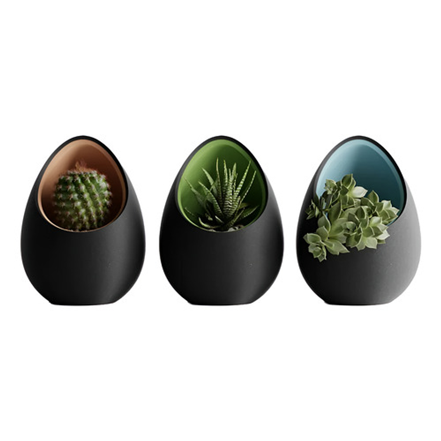 Macetero Nido Hogar 6.6cm Diámetro (pack 3 Unidades)