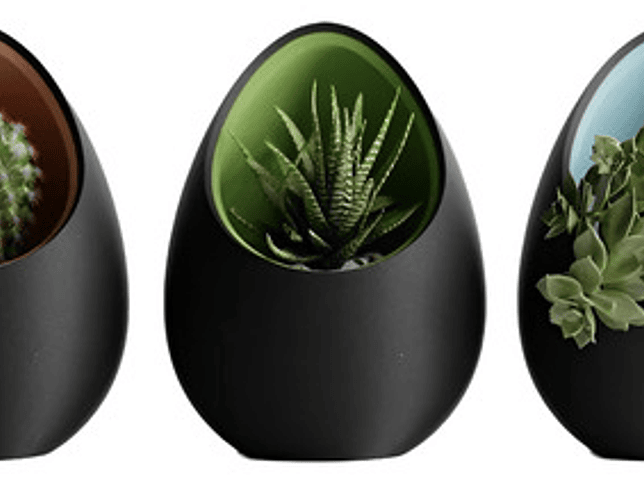 Macetero Nido Hogar 6.6cm Diámetro (pack 3 Unidades) 1