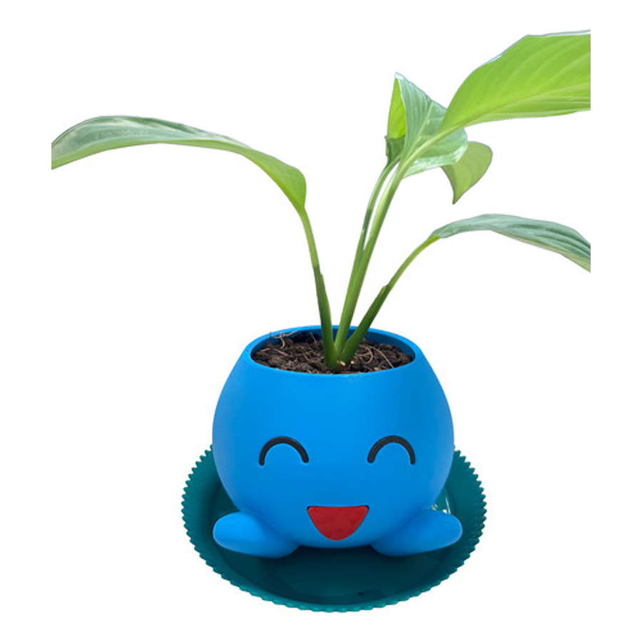Macetero Oddish Pokémon