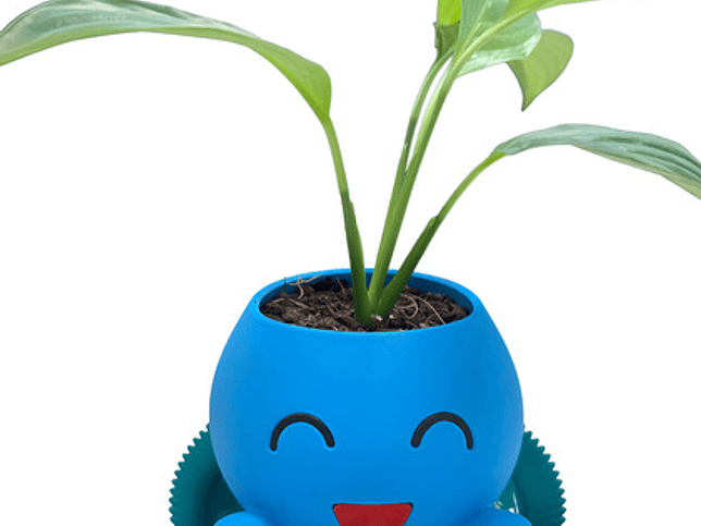 Macetero Oddish Pokémon 1