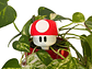 Globo De Riego Para Plantas - Hongo Mario Bros - Miniatura 1