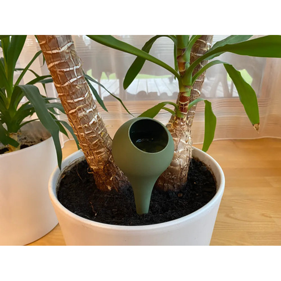 Globo De Riego Para Plantas