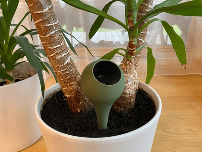 Globo De Riego Para Plantas 2