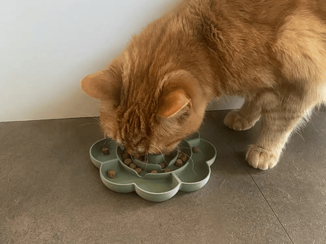 Plato Comedero Lento Para Mascotas 3