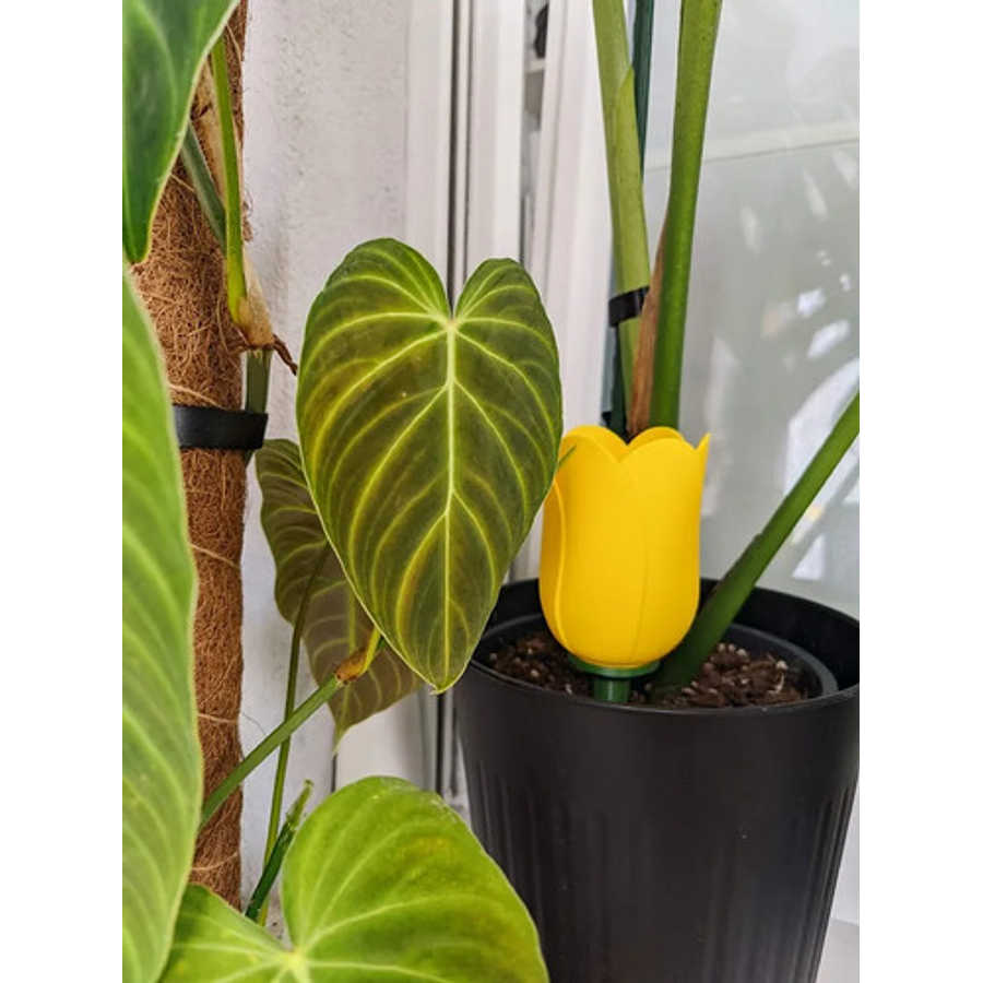 Globo De Riego Para Plantas - Diseño Tulipán