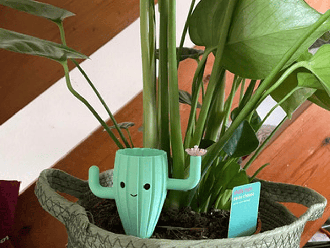 Globo De Riego Para Plantas - Diseño Cactus 3