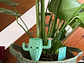 Globo De Riego Para Plantas - Diseño Cactus - Miniatura 3