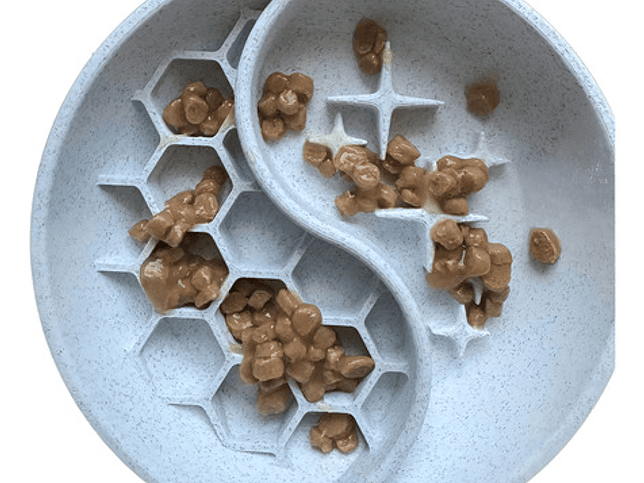 Plato Comedero Lento Para Mascotas 1