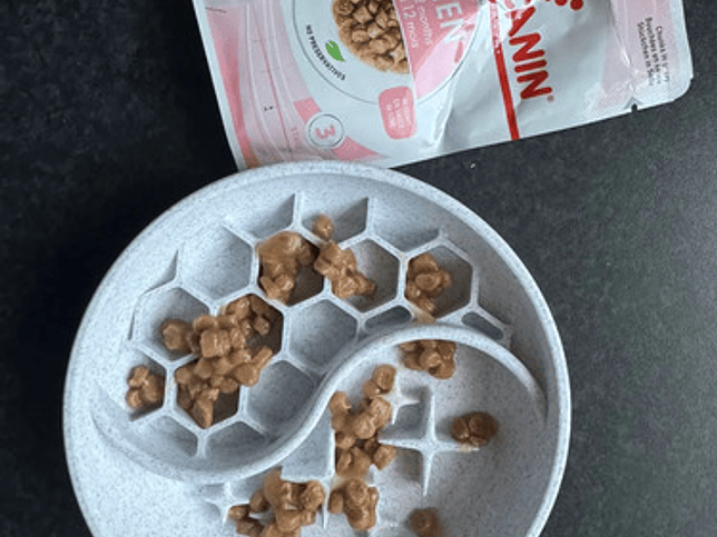 Plato Comedero Lento Para Mascotas 2