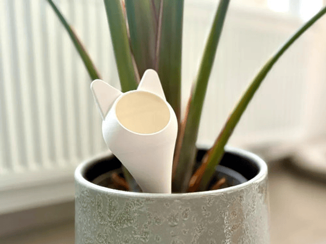 Globo De Riego Para Plantas - Diseño Gato 3