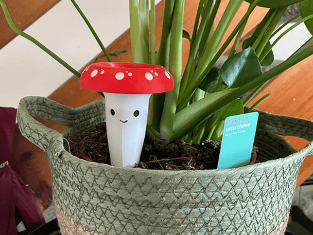 Globo De Riego Para Plantas - Diseño Honguito 3