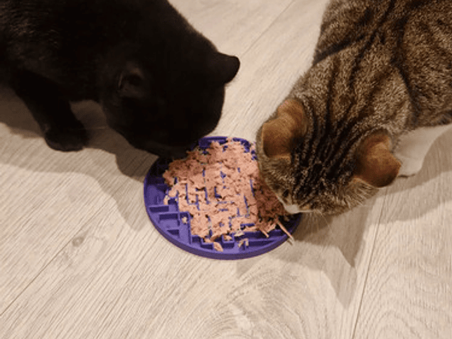 Plato Comedero Lento Para Mascotas 3