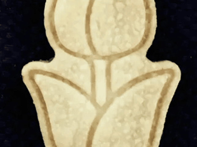 Cortador De Galletas - Tulipan 3