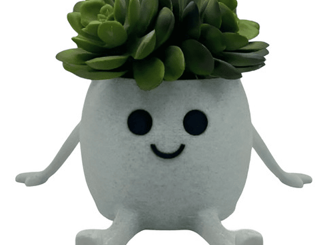 Mini Macetero - Macetero Feliz 1