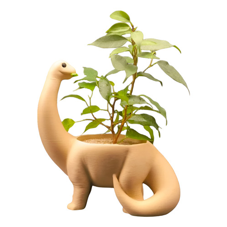 Macetero - Diseño Dinosaurio