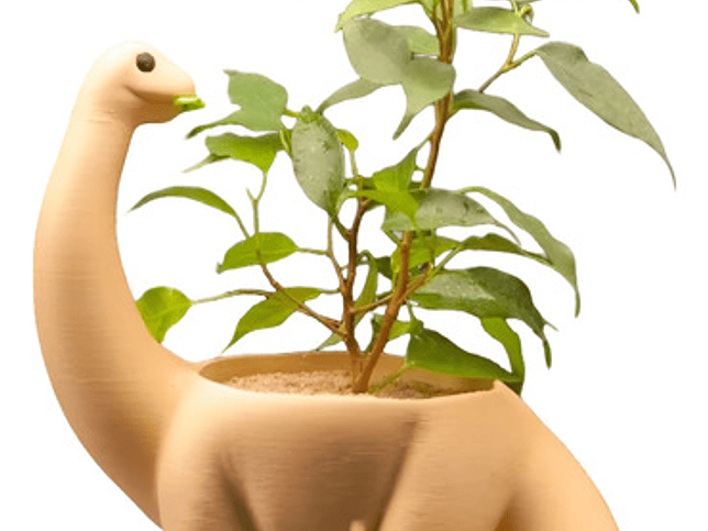 Macetero - Diseño Dinosaurio 1