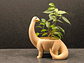 Macetero - Diseño Dinosaurio - Miniatura 6