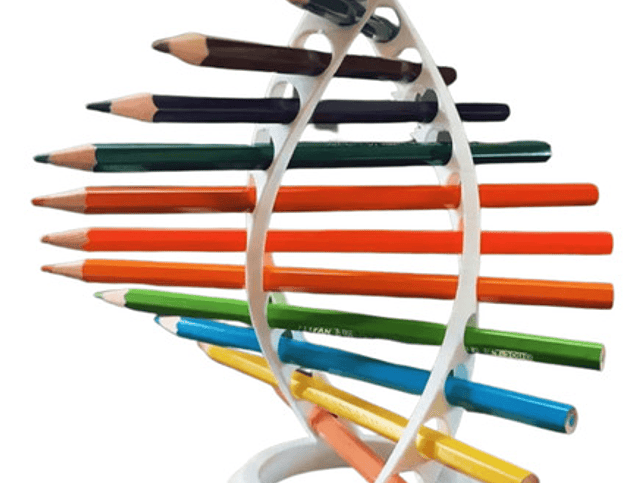 Soporte Lápices - Doce Orificios 1