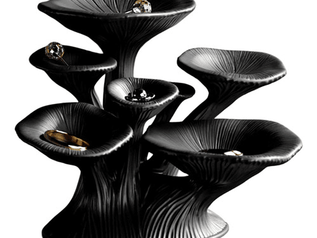 Joyero - Hongo Místico 1