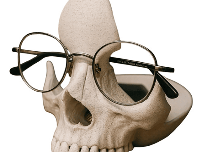 Porta Lentes - Calavera 1