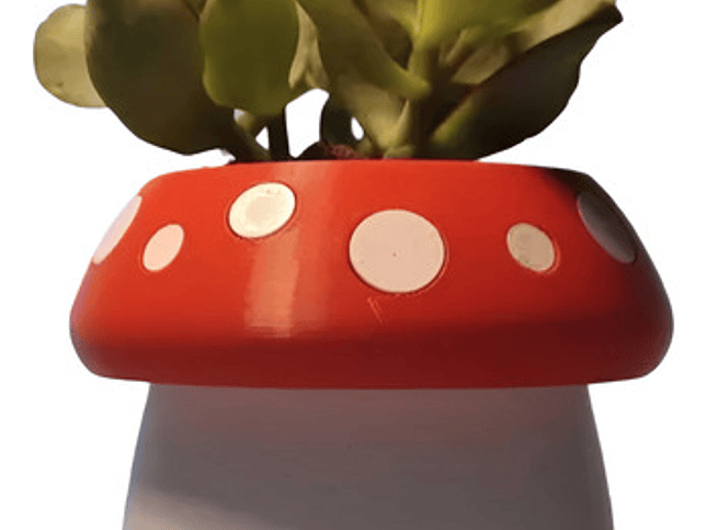 Mini Maceta - Diseño Honguito 1