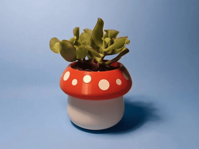 Mini Maceta - Diseño Honguito 2