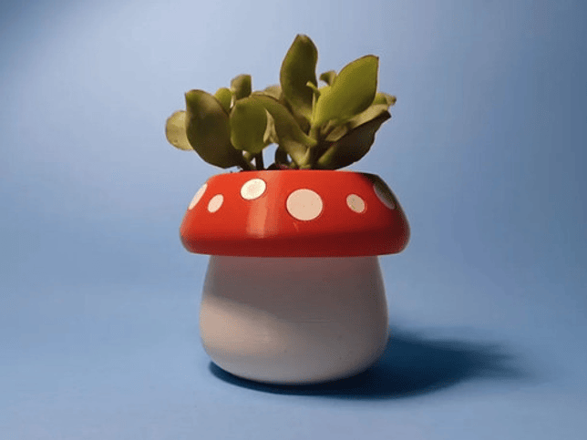 Mini Maceta - Diseño Honguito 4