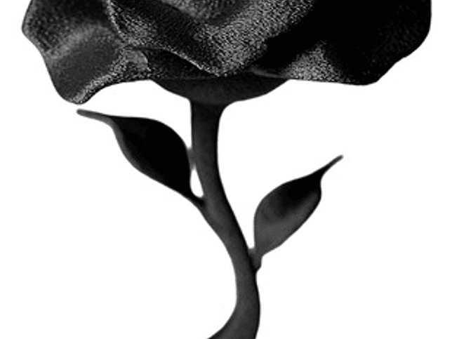 Decoración Hogar - Rosa 1