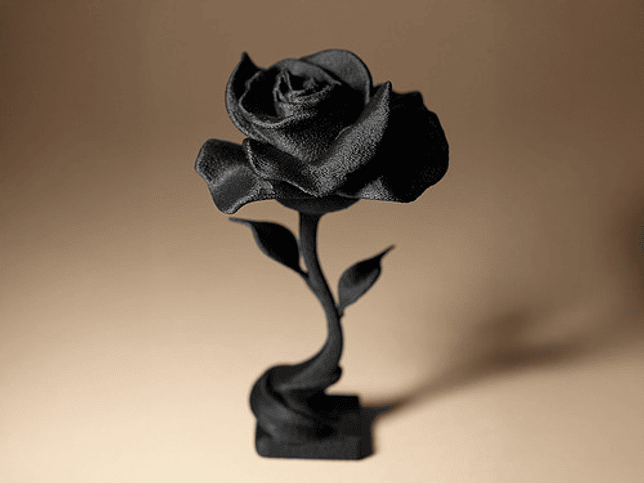 Decoración Hogar - Rosa 2