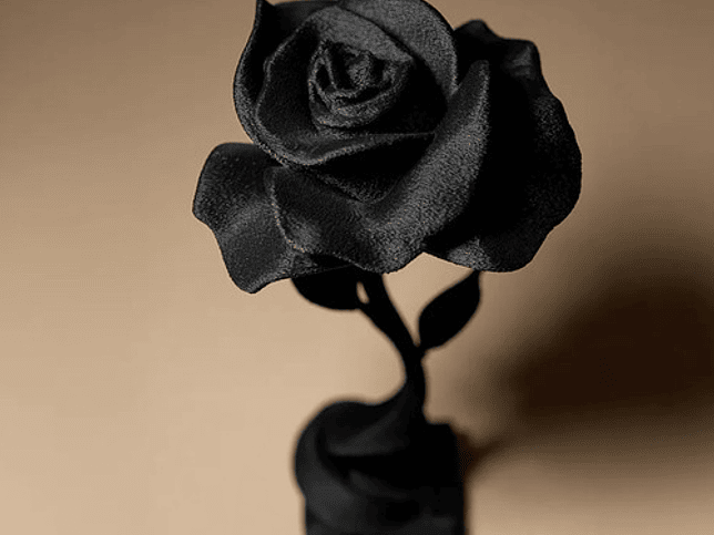 Decoración Hogar - Rosa 4