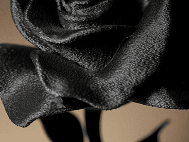 Decoración Hogar - Rosa 5