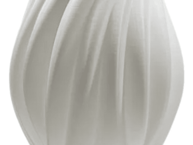 Jarrón Orgánico Moderno 1