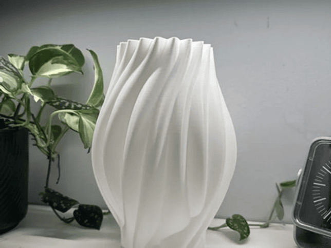 Jarrón Orgánico Moderno 2