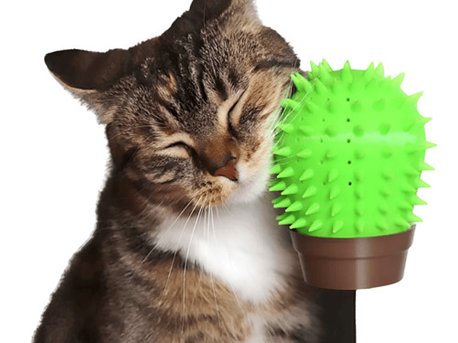 Rascador Para Gatos - Esquina Cactus 1