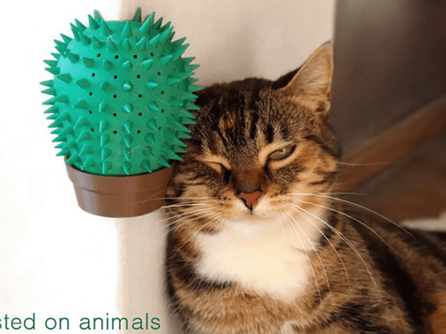 Rascador Para Gatos - Esquina Cactus 3