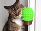 Rascador Para Gatos - Esquina Cactus - Miniatura 4