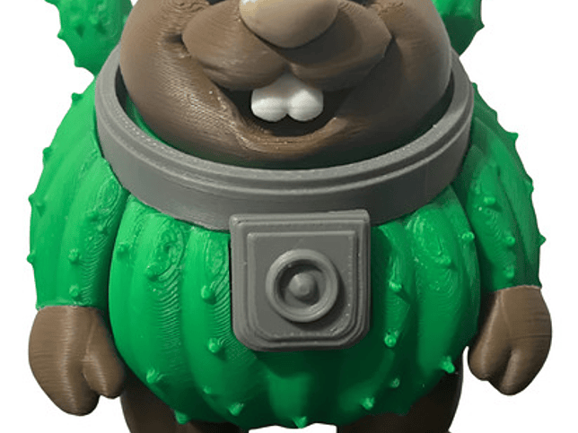 Bobrini Cactusini - Juguete Articulado 1