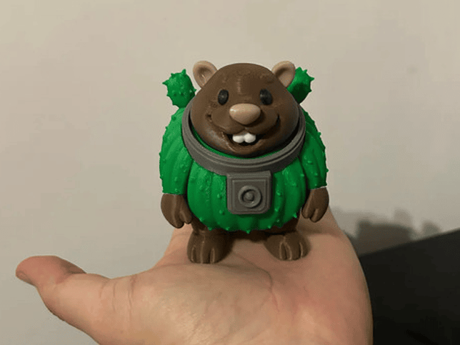 Bobrini Cactusini - Juguete Articulado 4