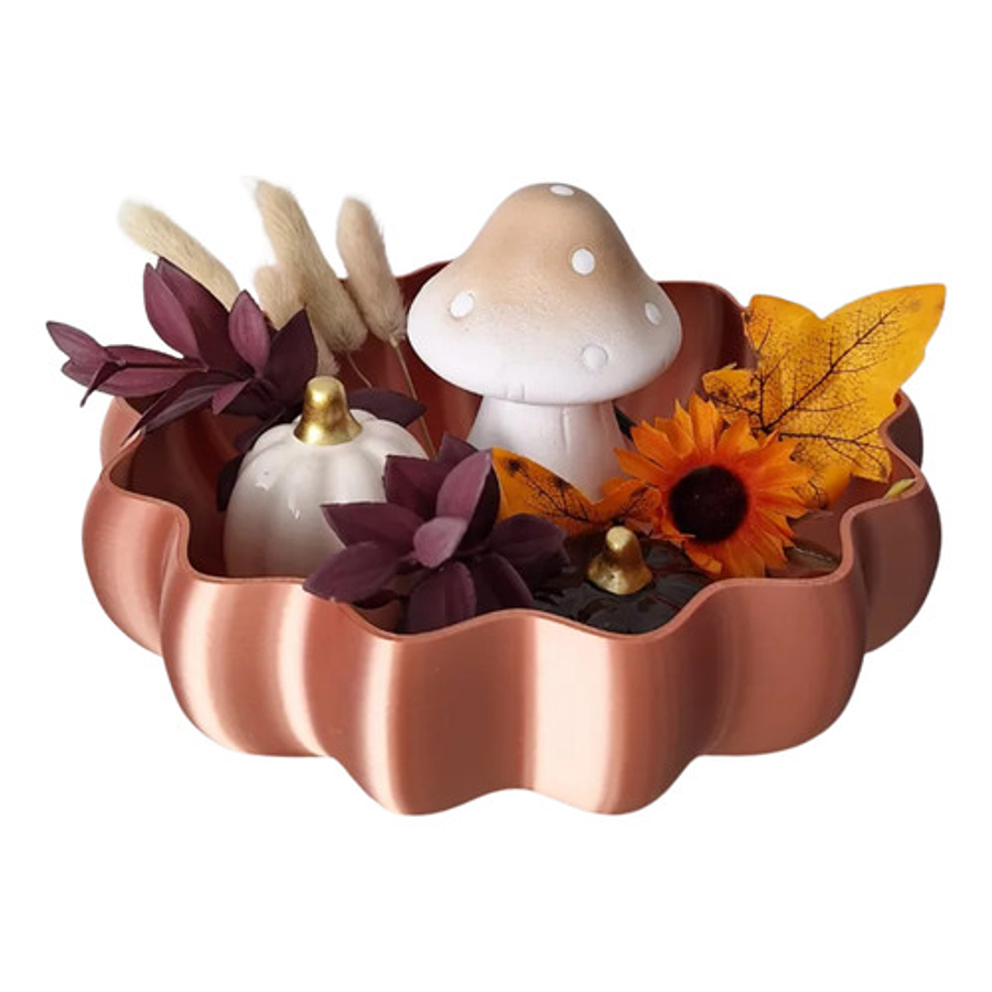 Bowl - Calabaza Coral