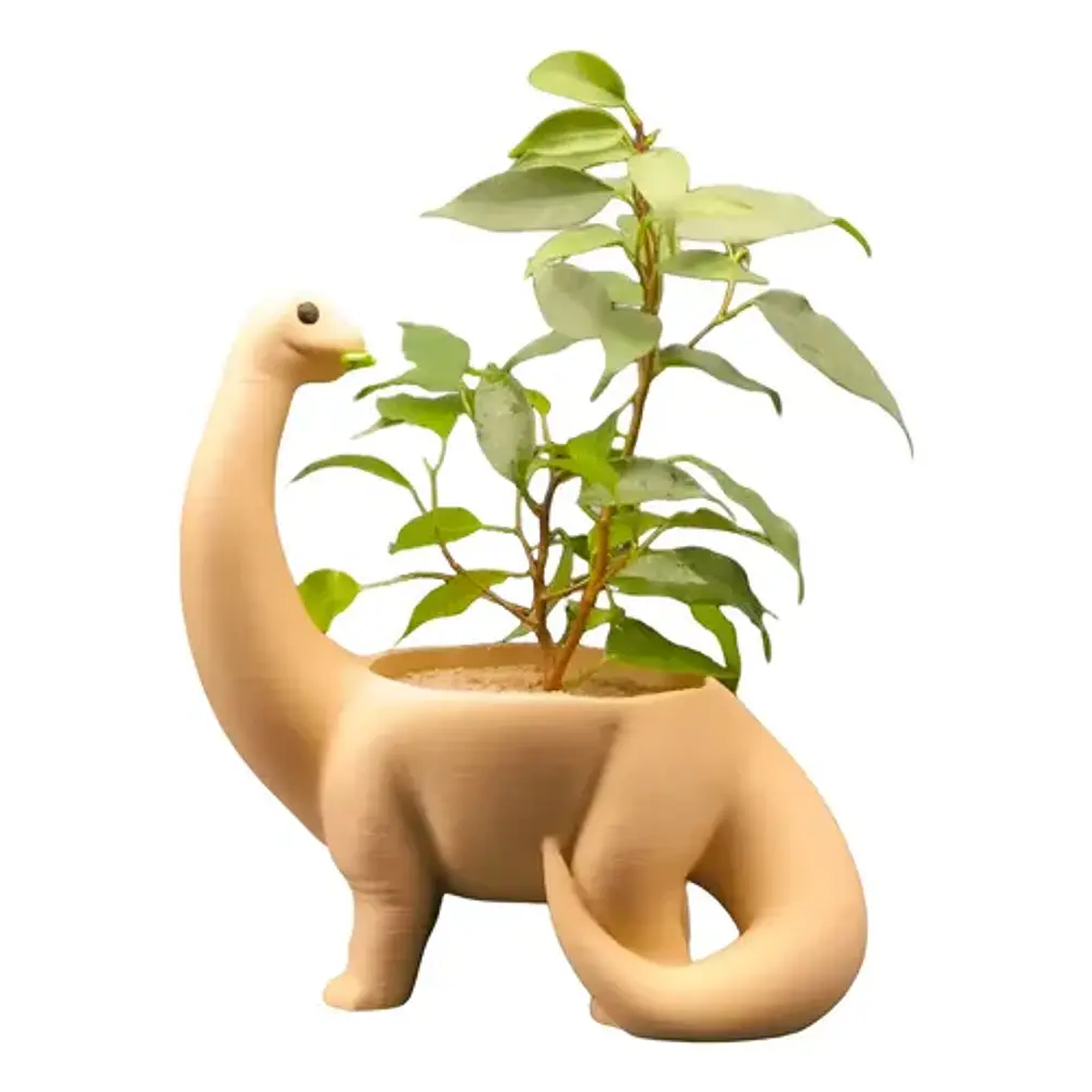 Macetero - Diseño Dinosaurio 1