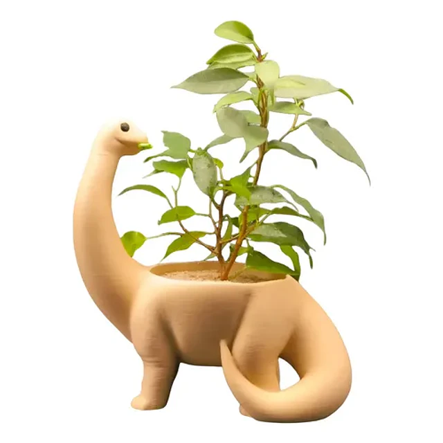 Macetero - Diseño Dinosaurio