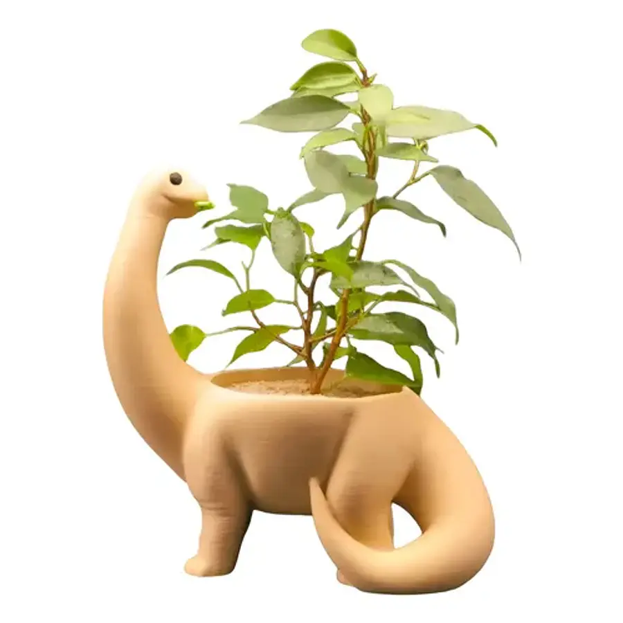 Macetero - Diseño Dinosaurio