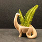 Macetero - Diseño Dinosaurio - Miniatura 2
