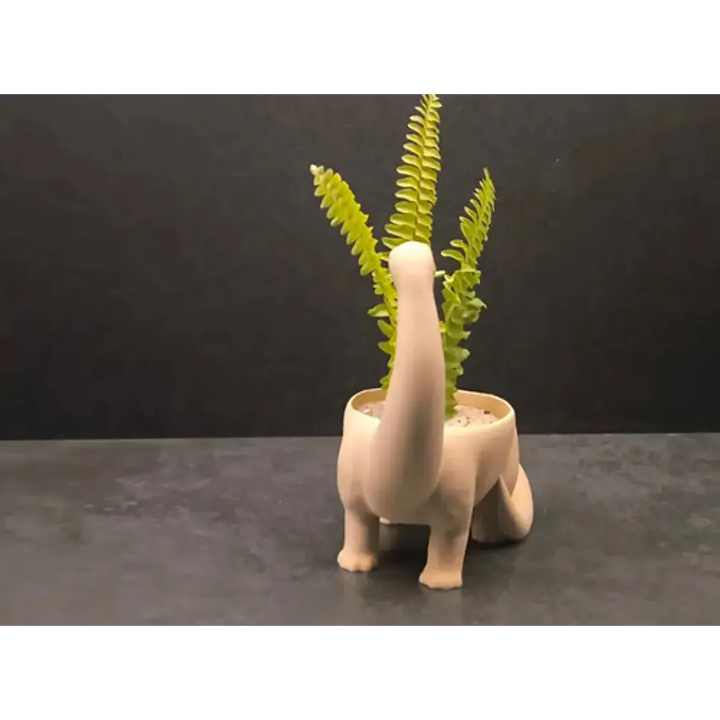 Macetero - Diseño Dinosaurio 3